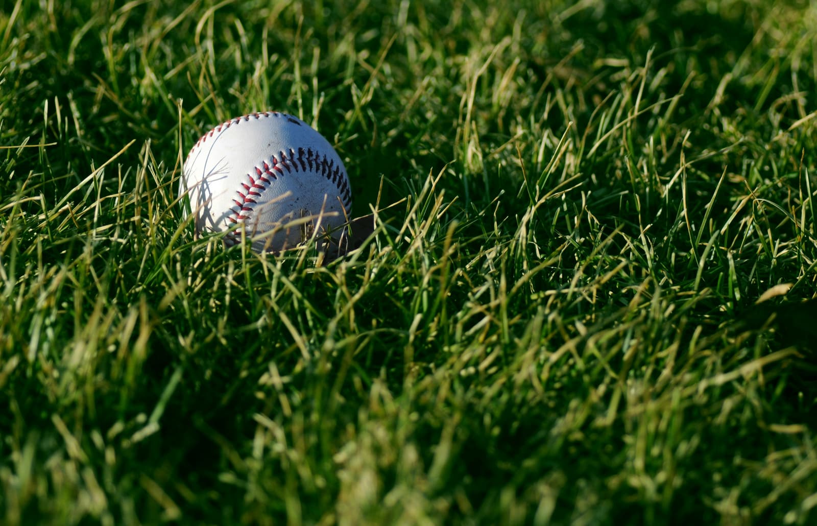 Robot umps are here. What the ABS challenge system teaches your kid about the strike zone